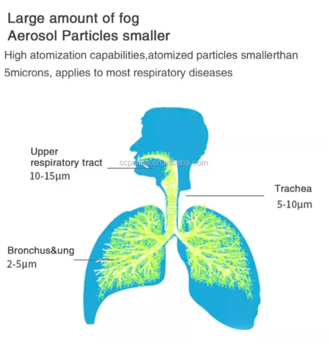 Ziqing Handheld Mist Device | Compact, USB & Battery Powered